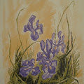 Artist Thumbnail
