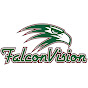 FalconVision