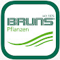 Bruns Pflanzen