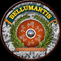 BELLUMARTIS HISTORIA MILITAR