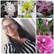 Luciana e suas orquideas & artesanatos