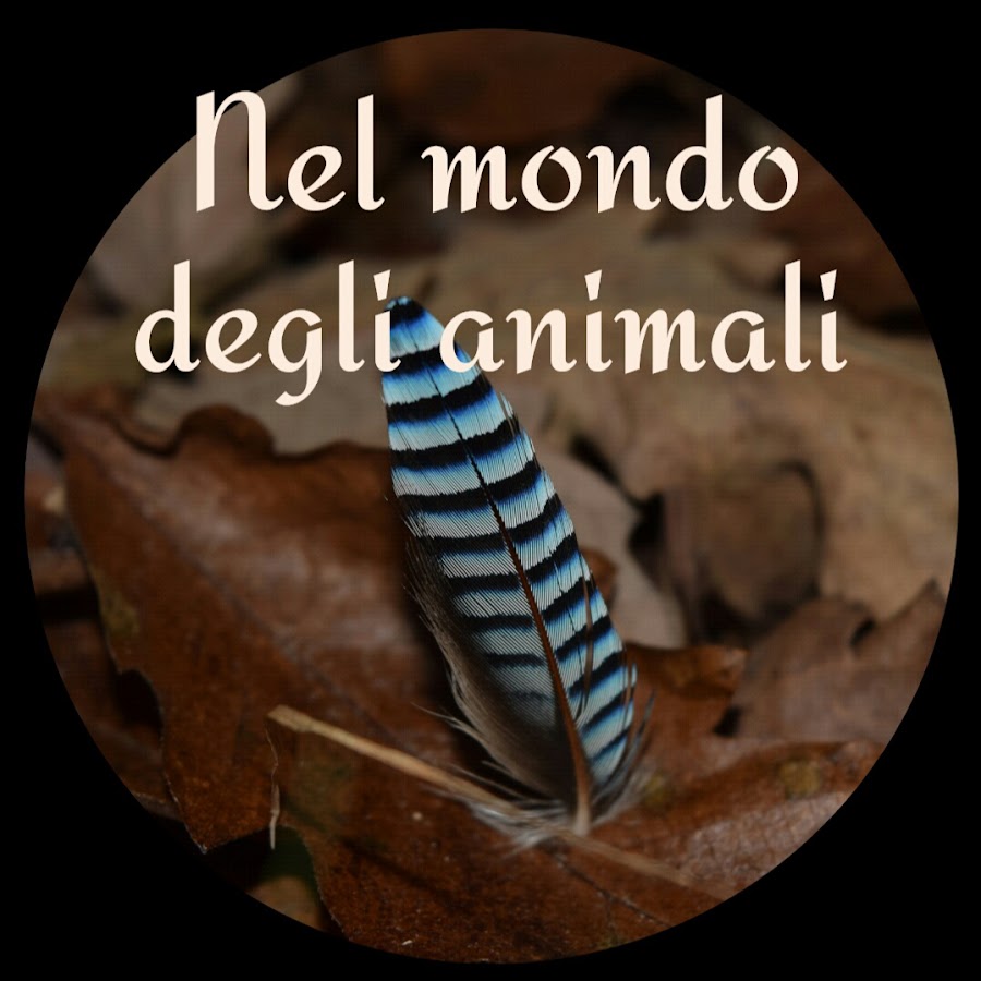 Nel mondo degli animali @nelmondodeglianimali