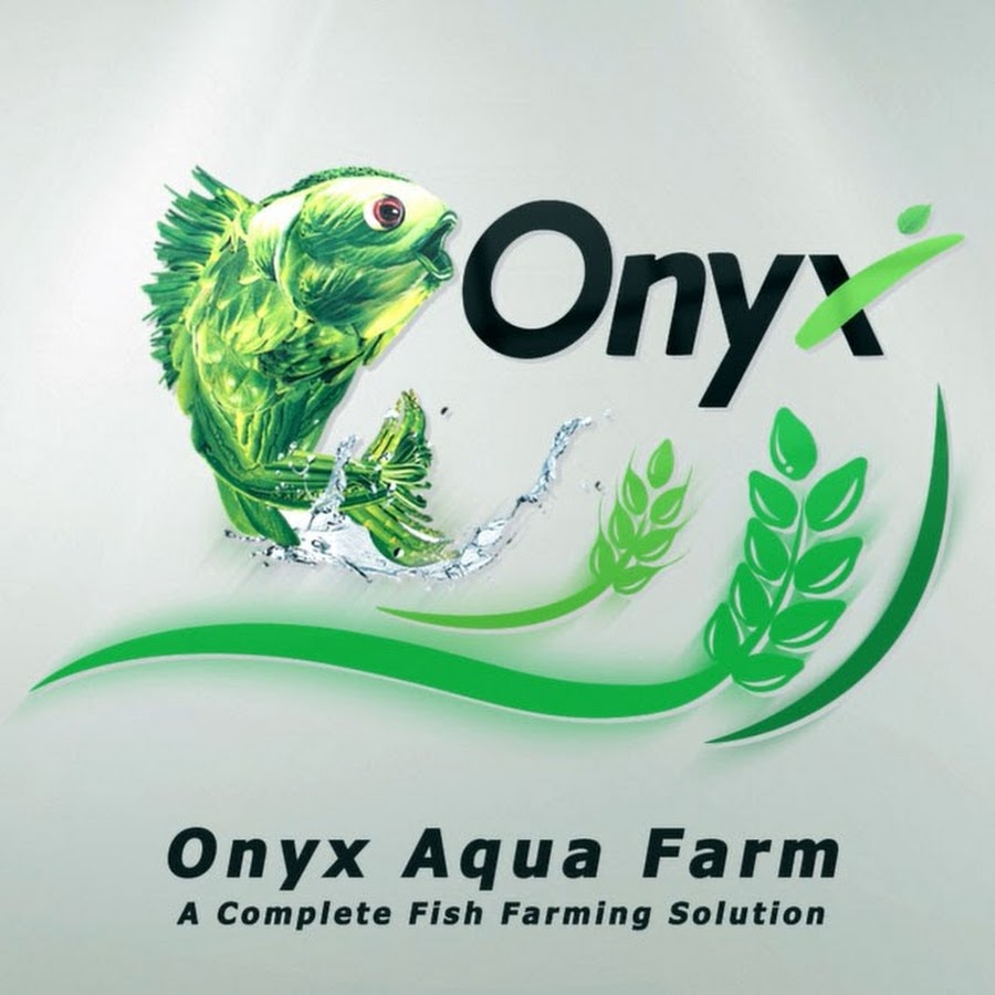 Aquarium Bowl Medium 4000 ml Plastic For Fish - Onyx Aqua Farm