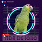 Vida De Loro