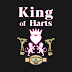 logo AntKingSuplexCity