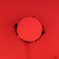 Artist Thumbnail