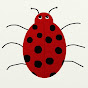 Ladybug Adventures