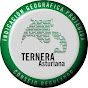 Ternera Asturiana