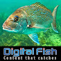 DIGITAL FISH - Content that catches