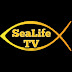 logo SeaLife TV