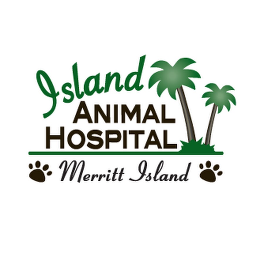 Island Animal Hospital in Merritt Island - YouTube