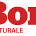 Associazione Il Borgo