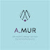 logo AMUR Design