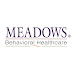 Meadows Behavioral Healthcare