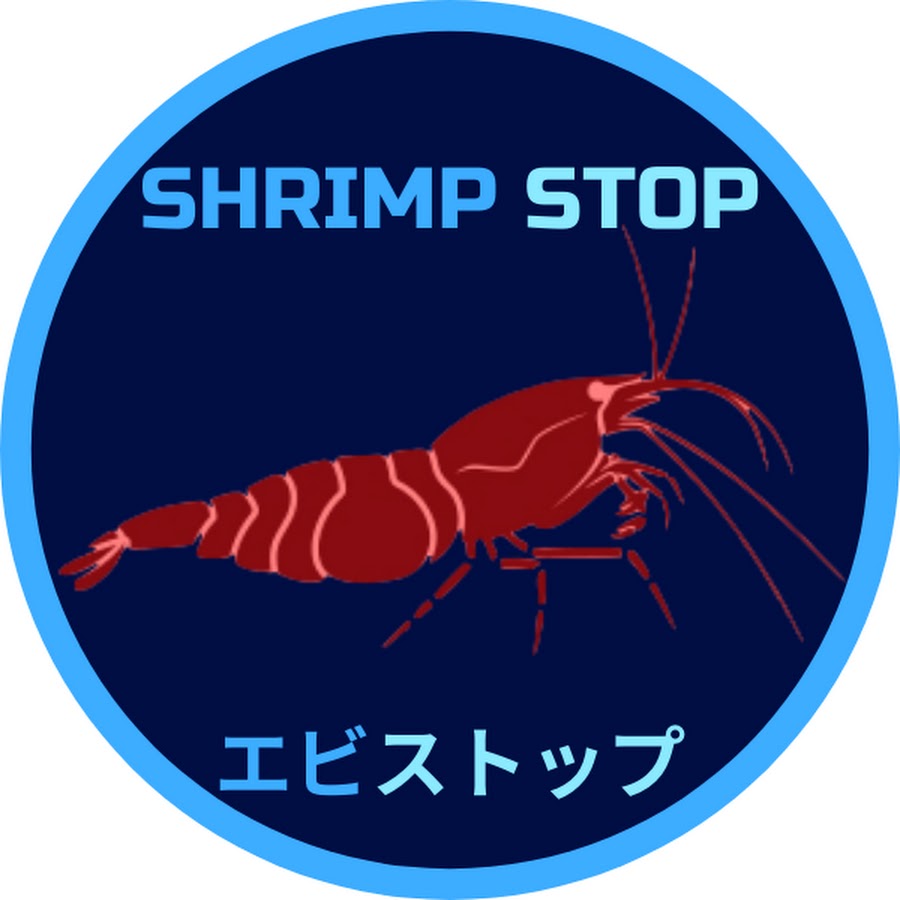 Shrimp Stop
