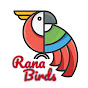 Rana Birds