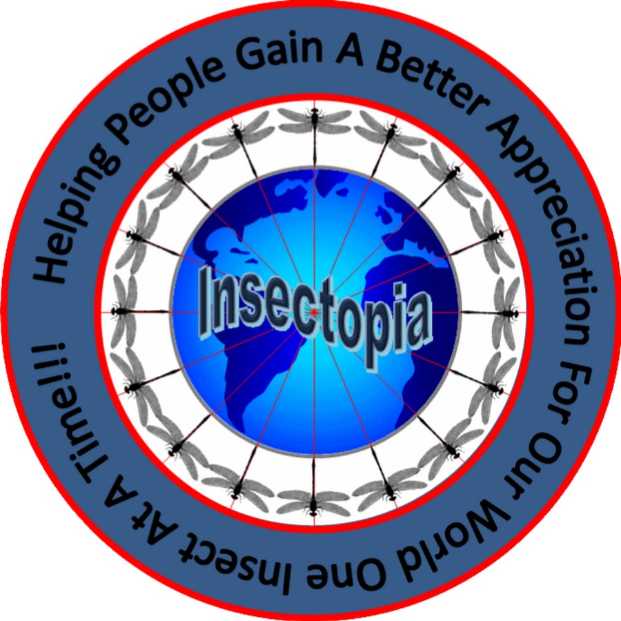 Insectopia