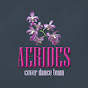 AERIDES Cover Dance Team