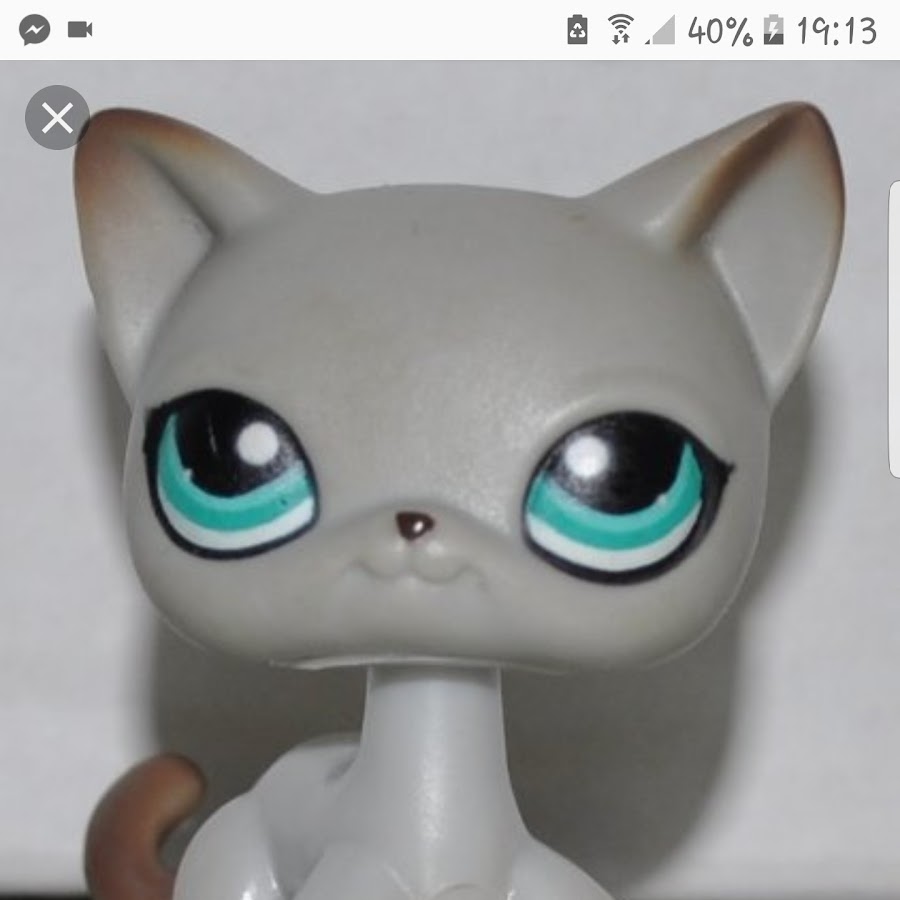 X loliti X