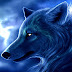 Dark Wolf