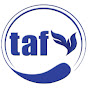 TAF Church Online