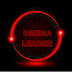 logo OMEGA LEADER