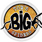 Tom Moran (Tom's Big Spiders)