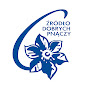 Clematis Źródło Dobrych Pnączy