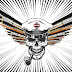 logo MANGA VETERAN