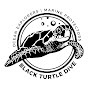 Black Turtle Dive