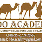 Hido Academy