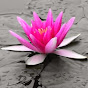 uniquewaterlily