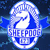 Sheepdog423