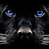 logo Alejandro Contreras