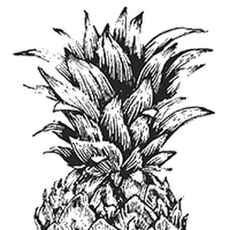pineapple999 dot net