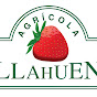 Agrícola Llahuen