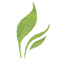 Full Leaf Tea Company