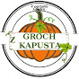 Vegetable garden Groch z kapustą