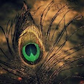 Artist Thumbnail