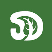SerpaDesign