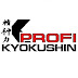 logo KYOKUSHIN-PROFI UNION