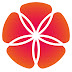 logo Телеканал Дорама