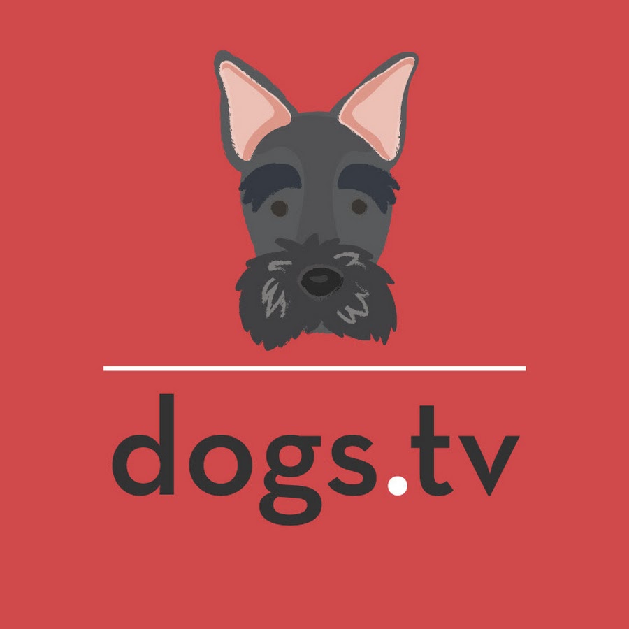 dogs tv