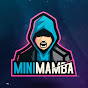 Mini Mamba