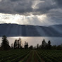 Okanagan Gardener and Forager