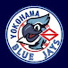 YOKOHAMA BLUEJAYS (YOKOHAMA BLUEJAYS TV)