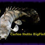 Carlos Netto bigfish