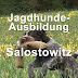 Jagdhundeausbildung