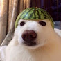 MelonDog