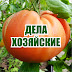 logo Дела Хозяйские